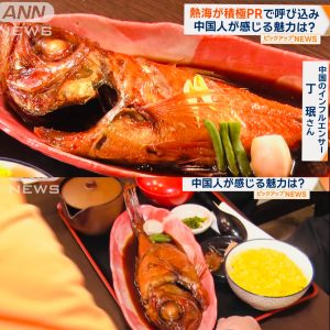 《金目鯛の姿煮定食》テレビ取材／テレビ朝日『大下容子ワイド！スクランブル』『テレ朝NEWS』とくぞう熱海さかな横丁